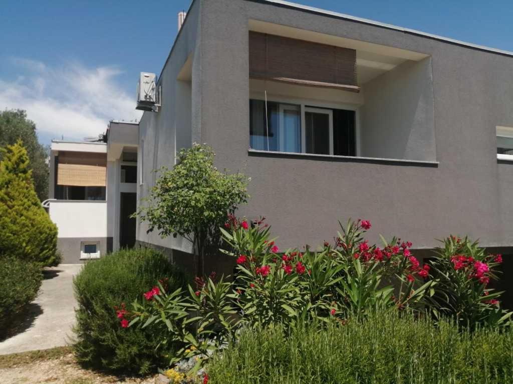 Apartments Dora 2 Bibinje Zewnętrze zdjęcie