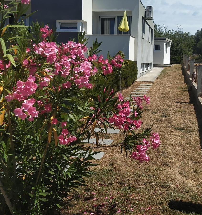 Apartments Dora 2 Bibinje Zewnętrze zdjęcie